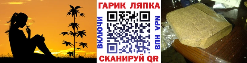 купить наркотики сайты  Болхов  Гашиш Cannabis 