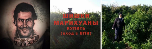 молекула духа Алексеевка