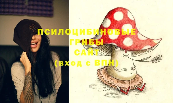 бутират Алзамай