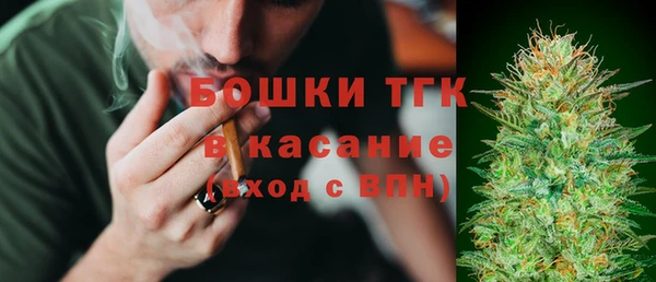 молекула духа Алексеевка